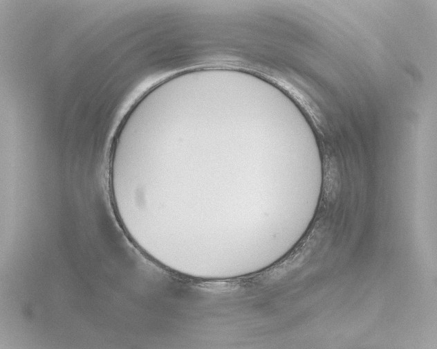 X0000116141478200912211439