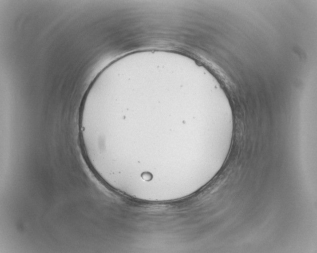 X0000116141479200912211439