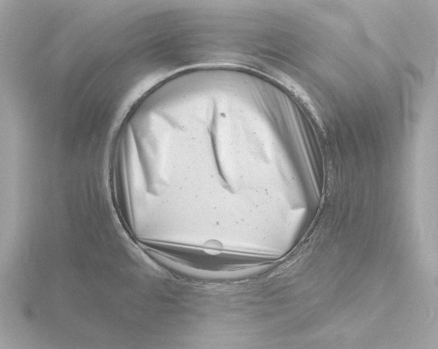 X0000116141480200912211439