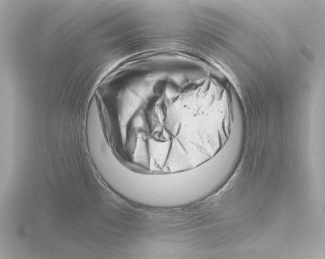 X0000116141481200912211439