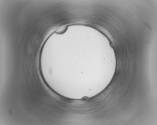 X0000116141483200912211439