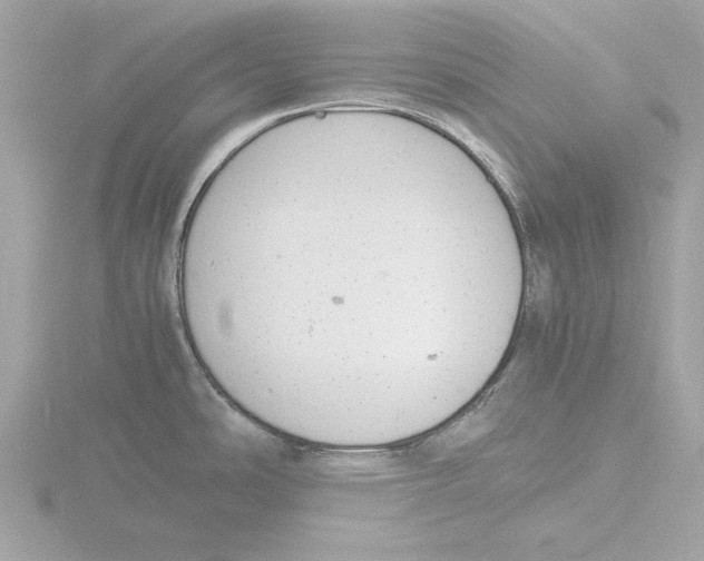 X0000116141486200912211439