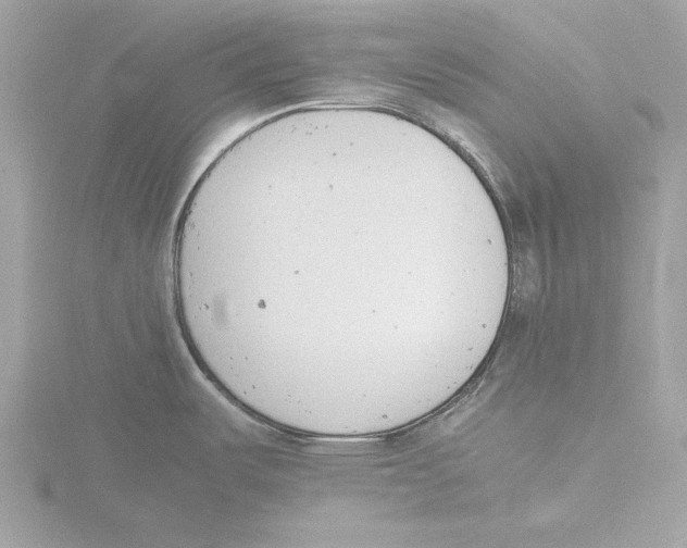 X0000116141487200912211439