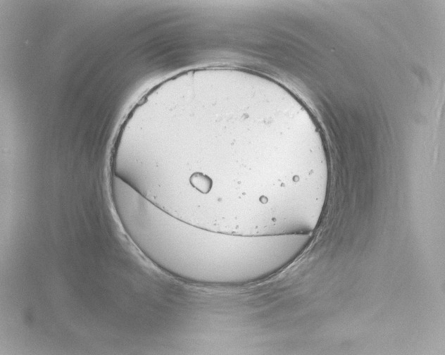 X0000116141488200912211439