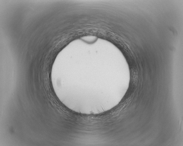 X0000116141489200912211438