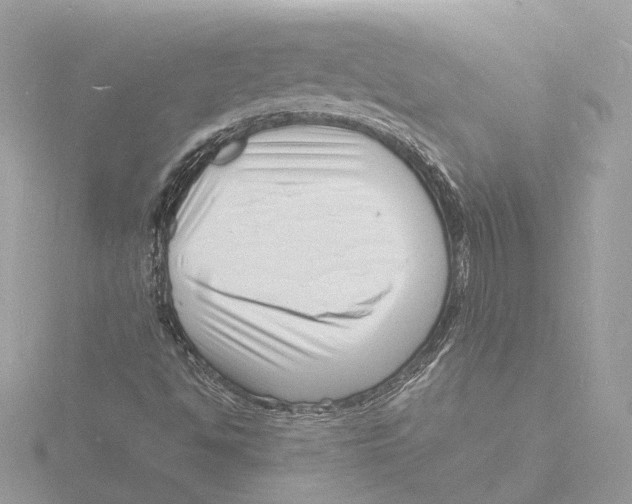 X0000116141494200912211438