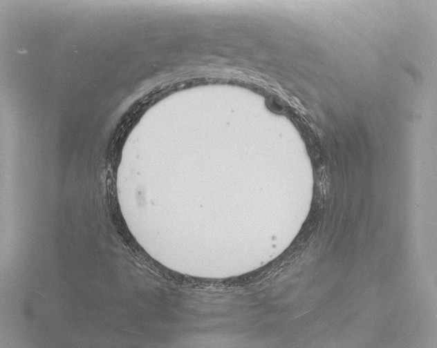 X0000116141495200912211438