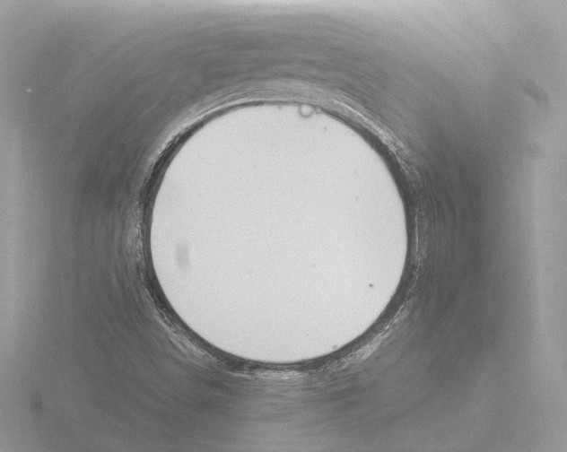 X0000116141498200912211438