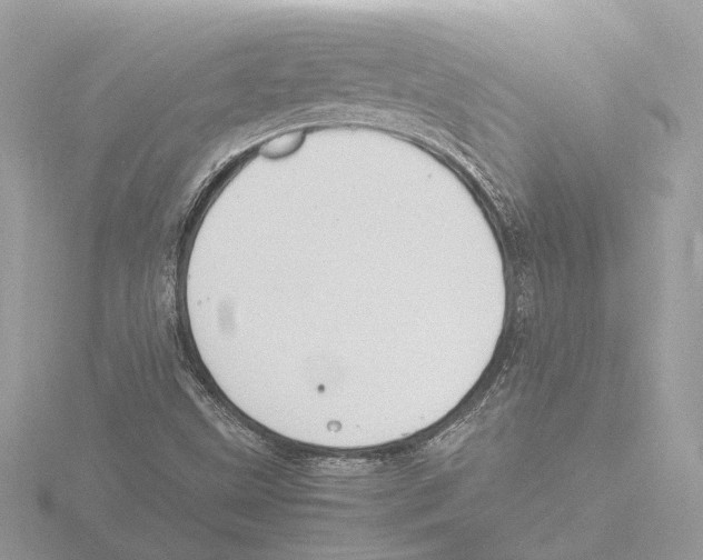 X0000116141499200912211438