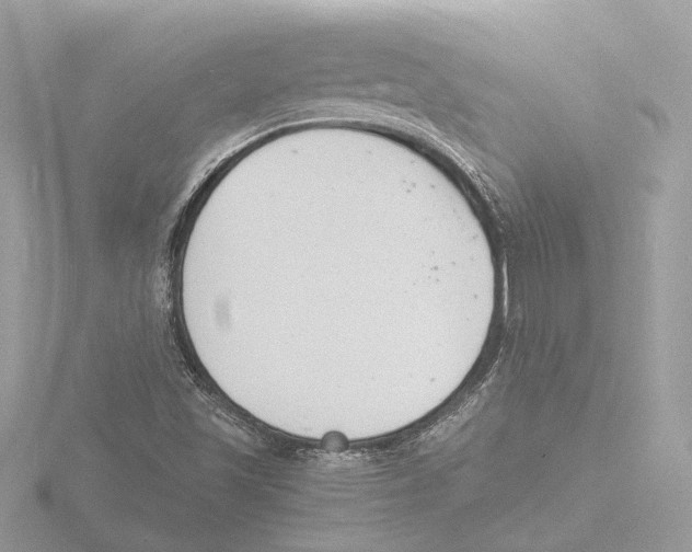 X0000116141501200912211438