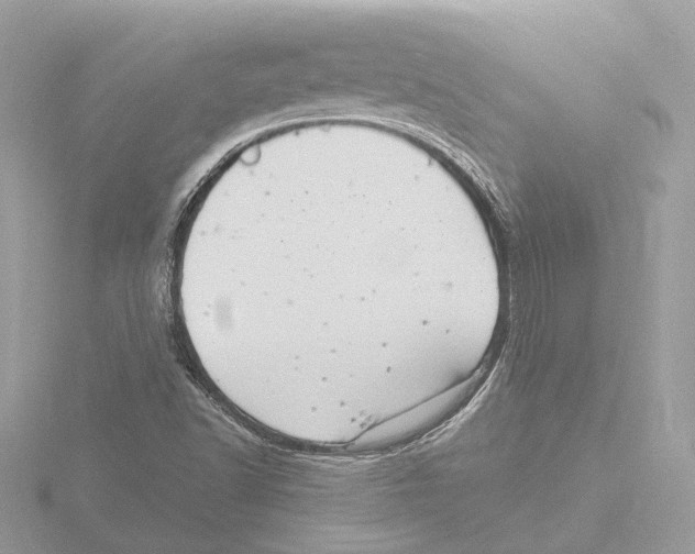 X0000116141502200912211438