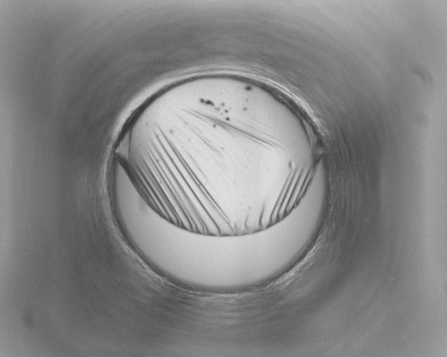 X0000116141510200912211438