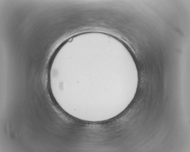 X0000116141511200912211438