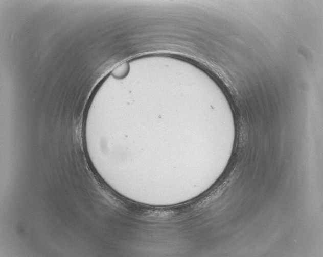 X0000116141513200912211438