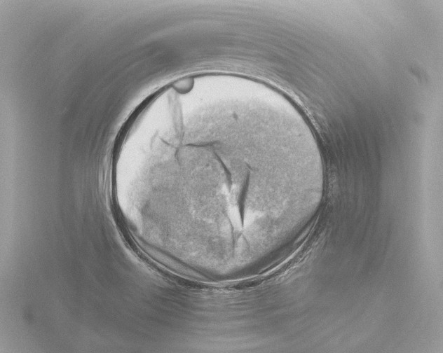 X0000116141515200912211438