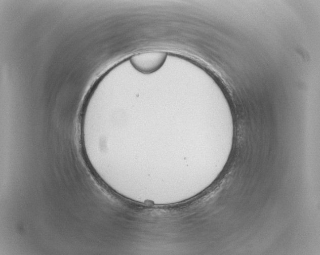 X0000116141517200912211438