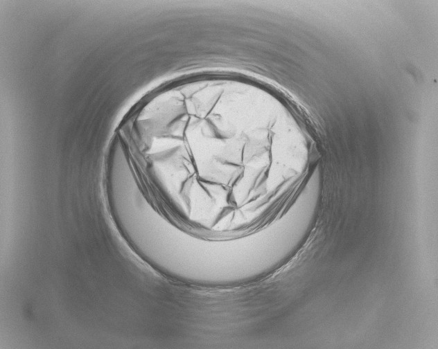 X0000116141518200912211438