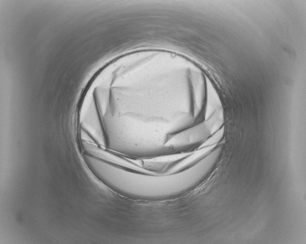 X0000116141519200912211438