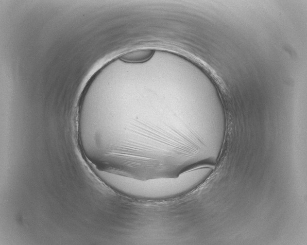 X0000116141522200912211438