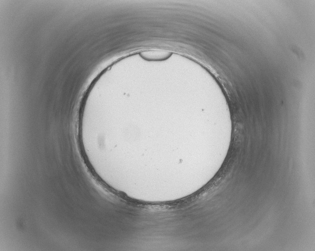 X0000116141523200912211438