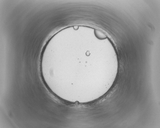 X0000116141525200912211438