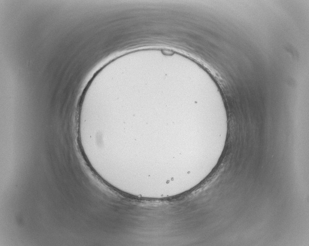 X0000116141526200912211438