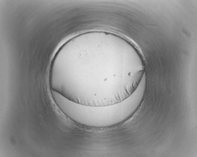 X0000116141530200912211438