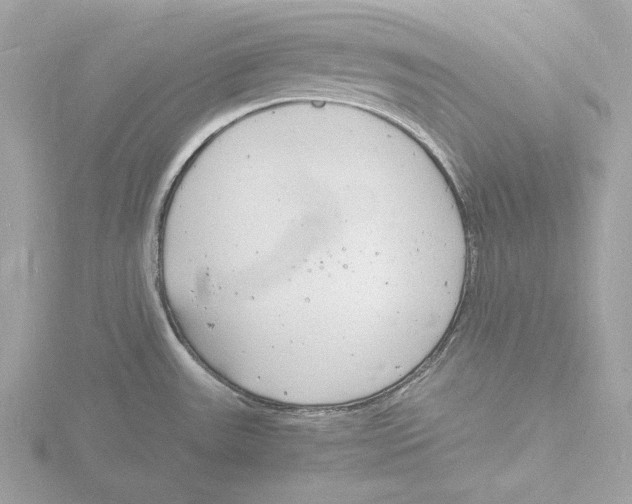 X0000116141531200912211438