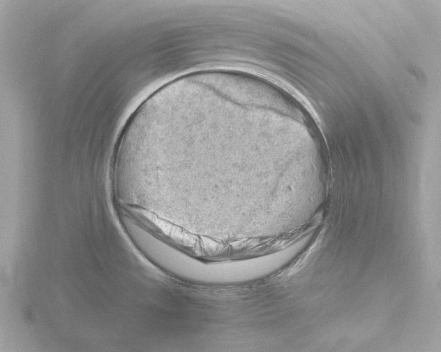 X0000116141533200912211438