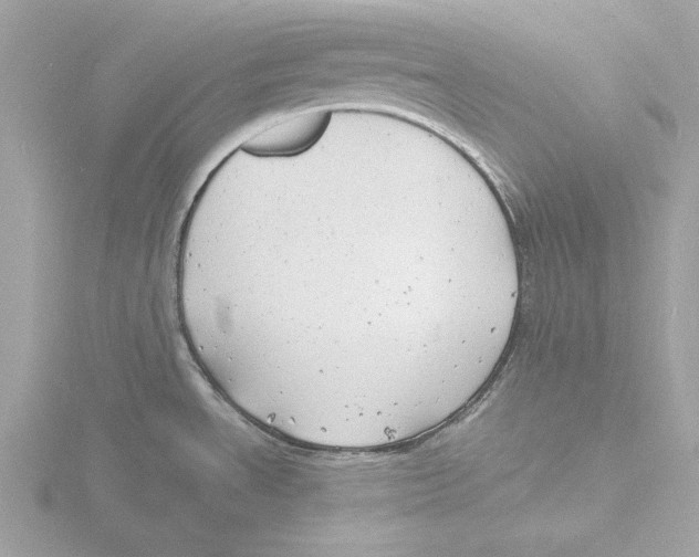 X0000116141534200912211438