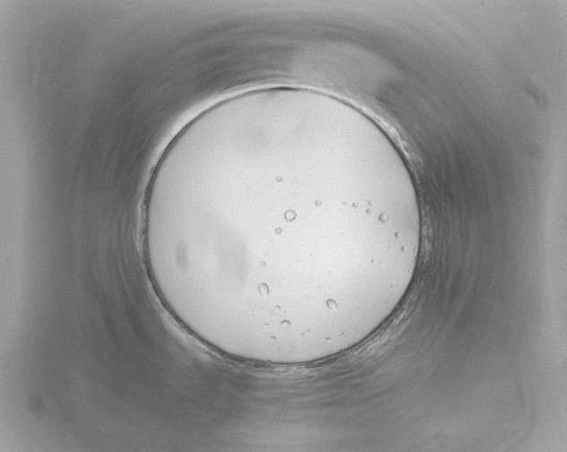 X0000116141535200912211438