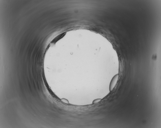 X0000116140003201001041042