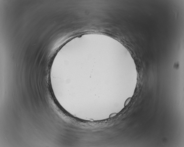 X0000116140005201001041042