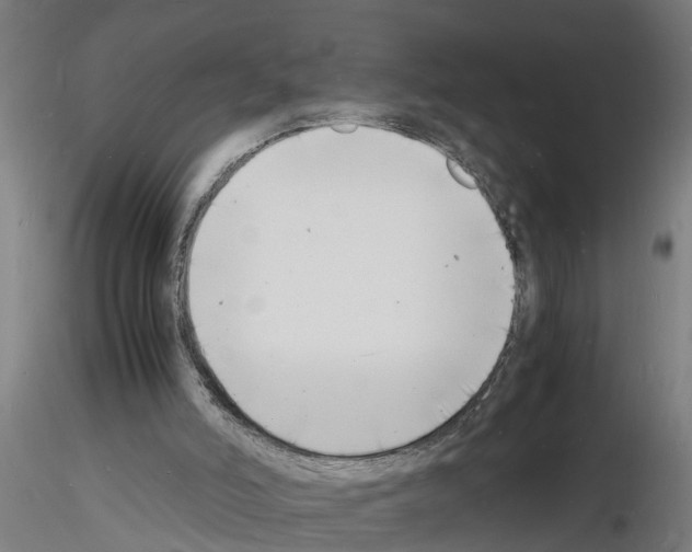 X0000116140006201001041042