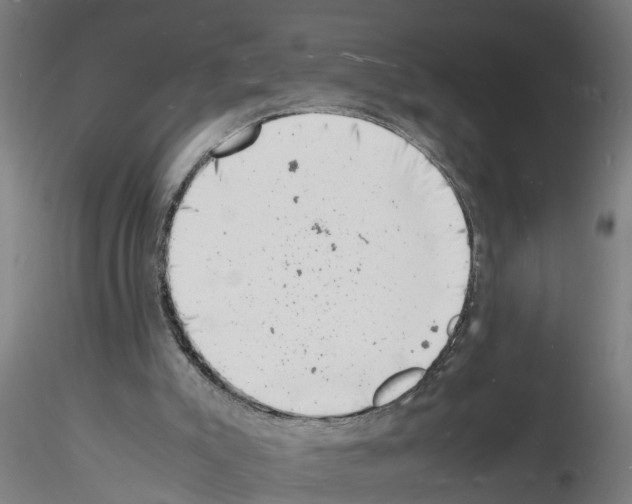 X0000116140007201001041042