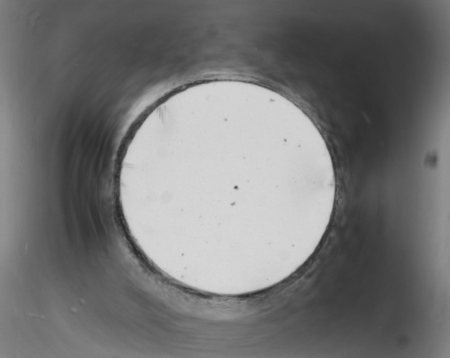 X0000116140008201001041042