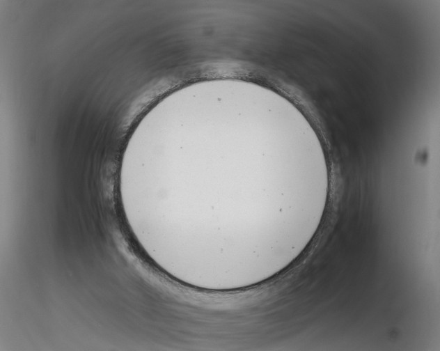 X0000116140010201001041042