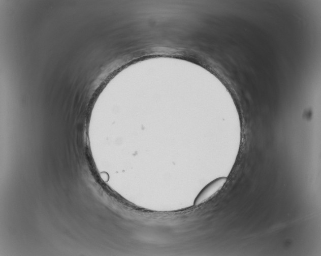 X0000116140011201001041042