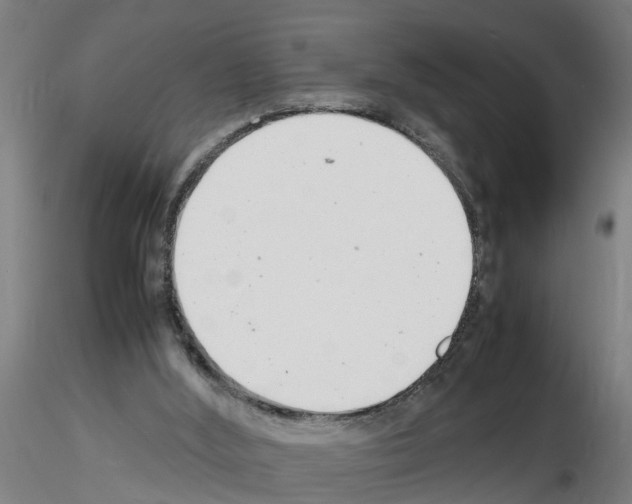 X0000116140012201001041042