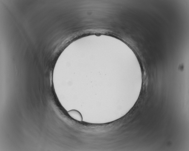 X0000116140013201001041042