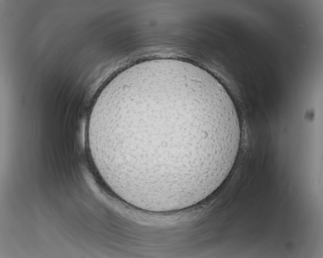 X0000116140014201001041042