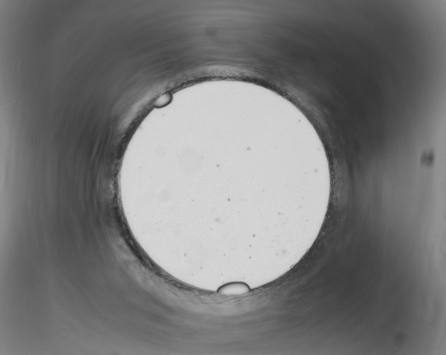 X0000116140015201001041042