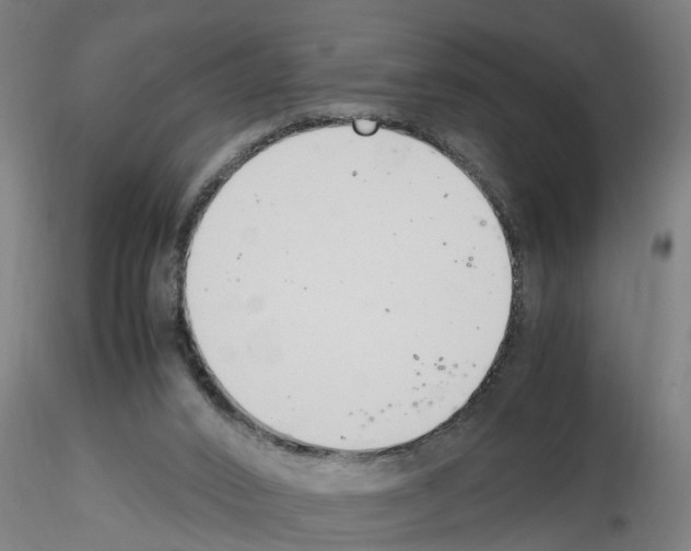 X0000116140016201001041042