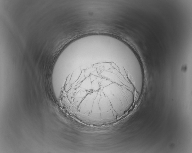 X0000116140017201001041042