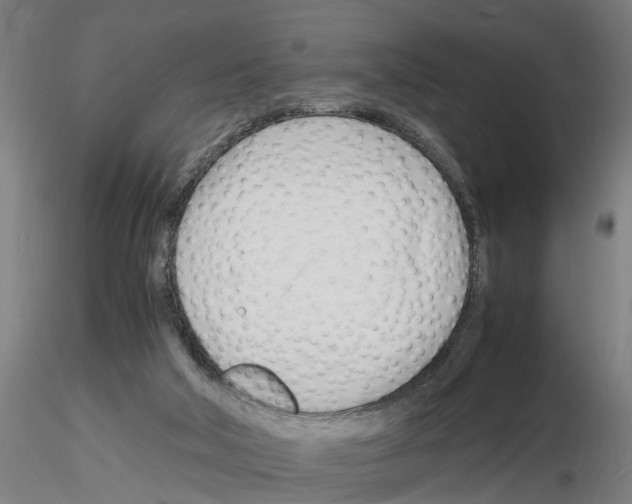 X0000116140018201001041042