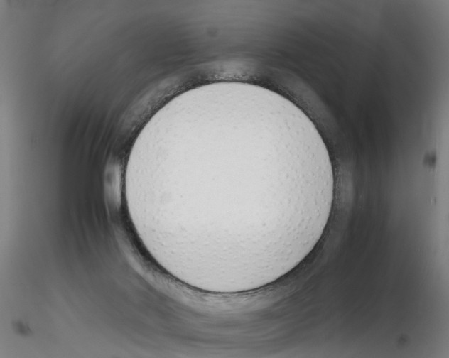 X0000116140022201001041042