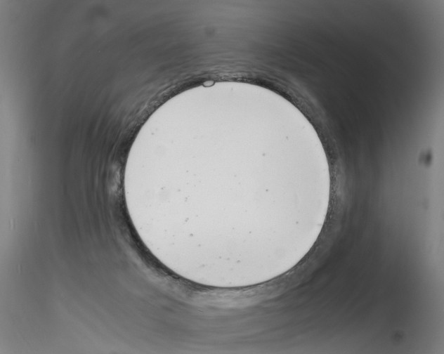 X0000116140025201001041042