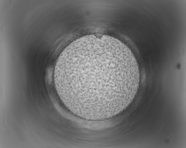 X0000116140026201001041042