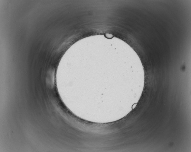 X0000116140028201001041042