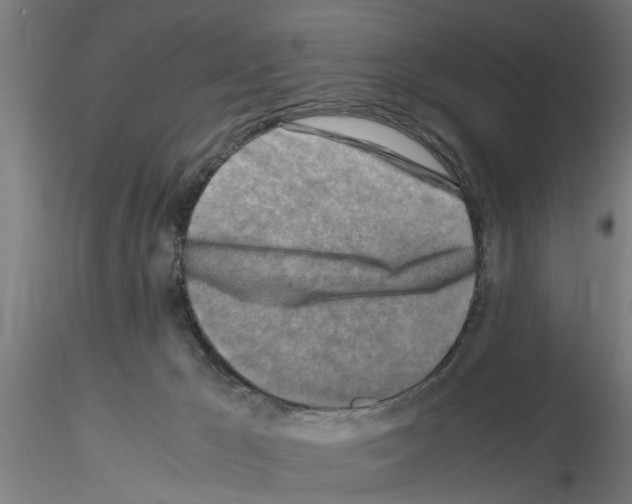 X0000116140029201001041042